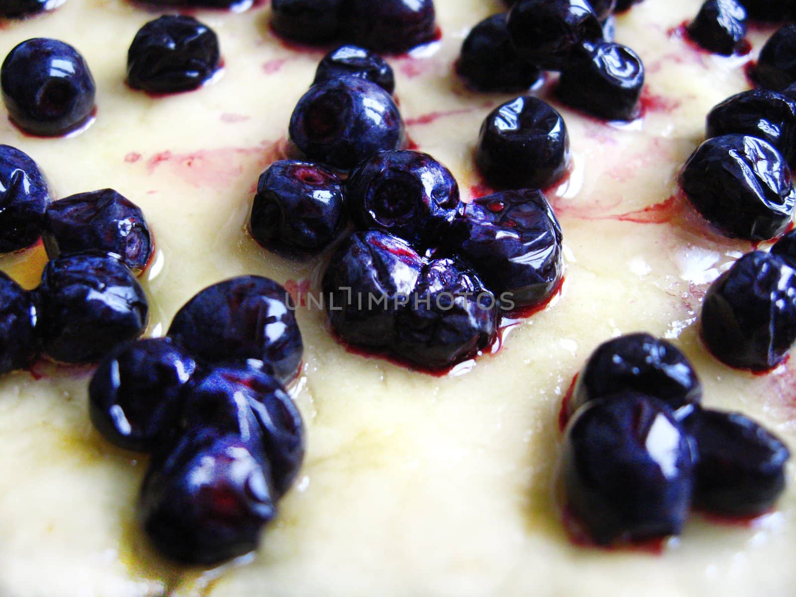 Fresh and tasty pie with bilberry