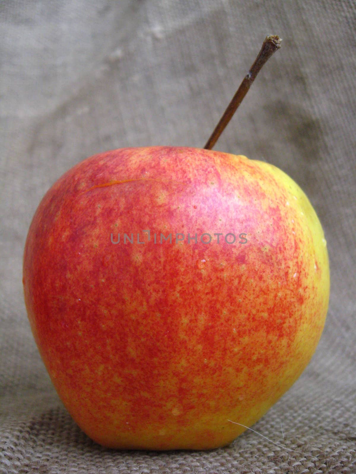 four nice apples on the plate, on the brown background