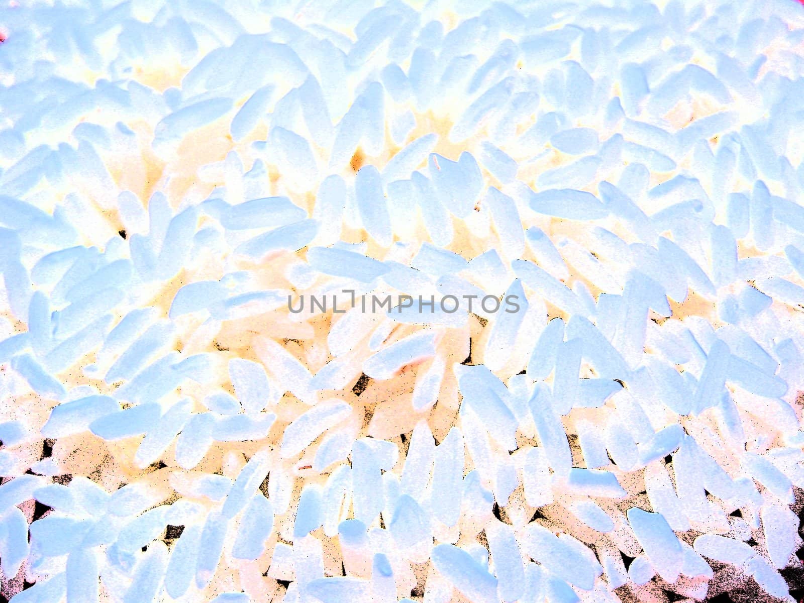 The image on a white background with bacteria
