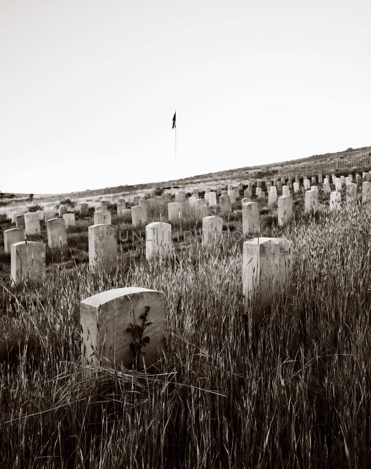 Military cemetary from the 1800's