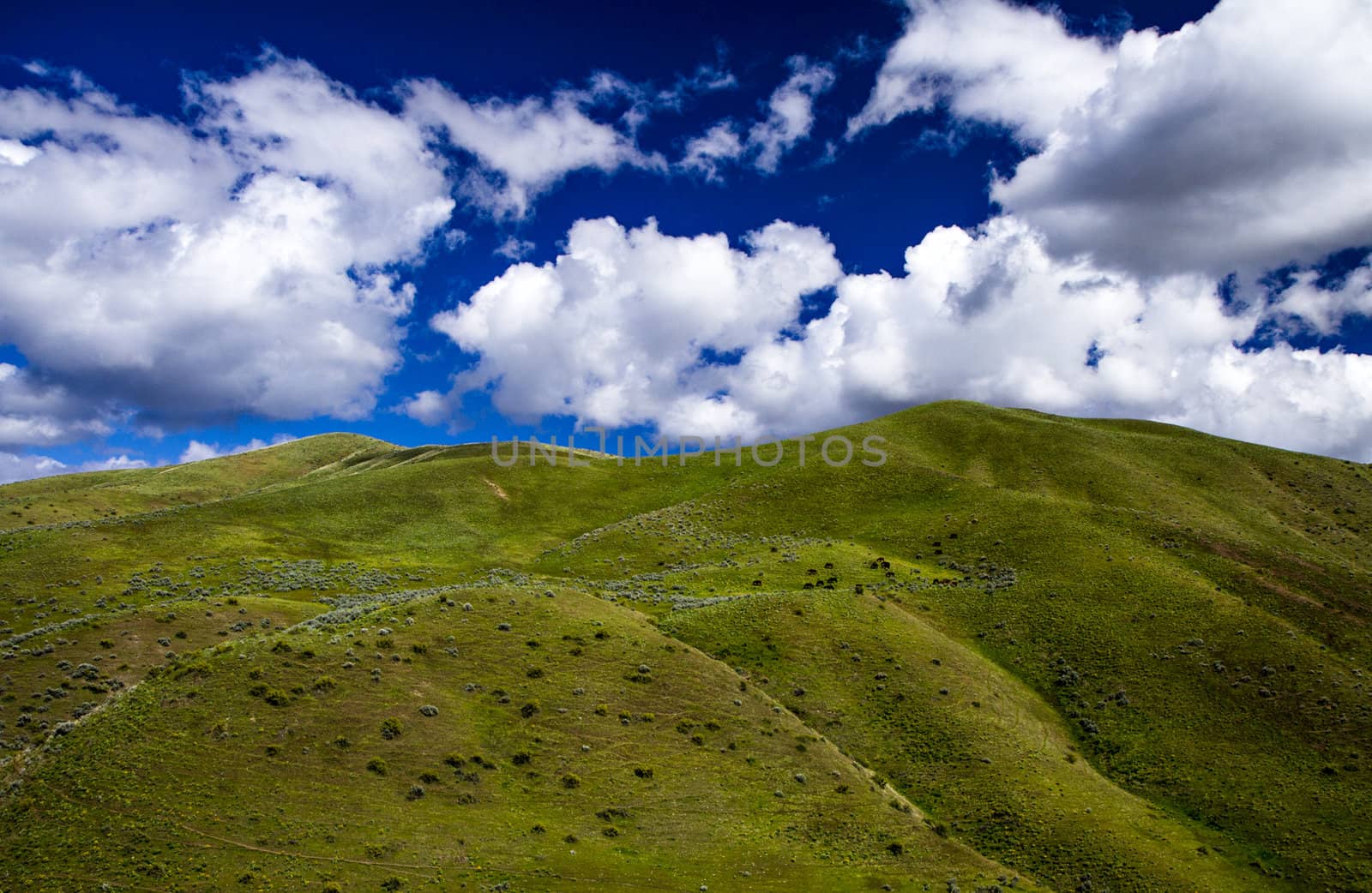 A view of the green hills in spring against a dramatic skyline during spring