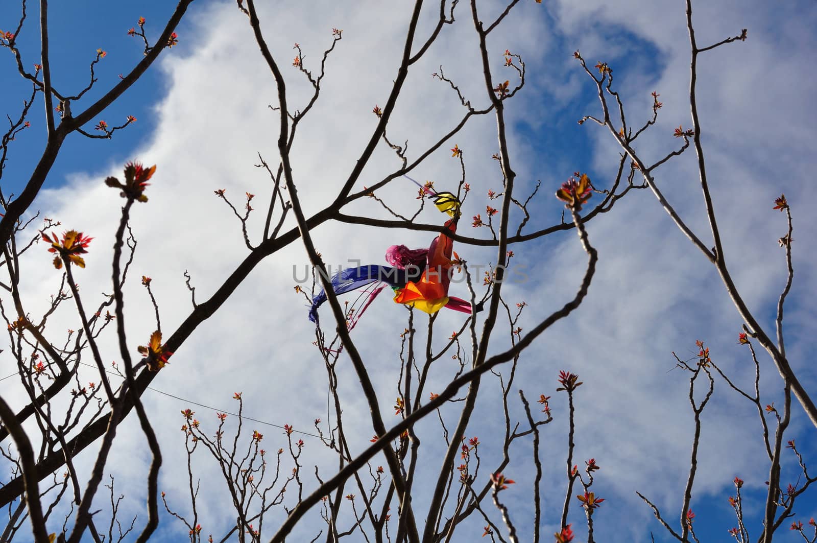 Multicolored kite tangled on tree branches with colorful leaves.