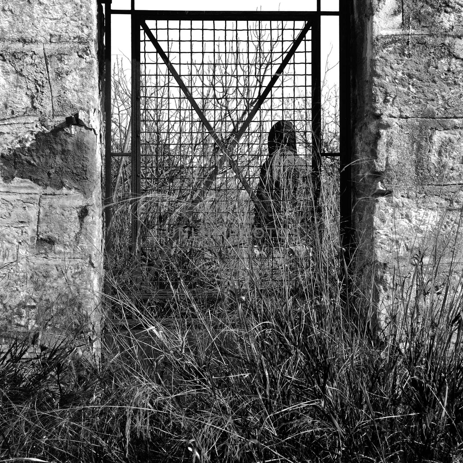 Man behind vintage metal door and overgrown plants in rural landscape.
