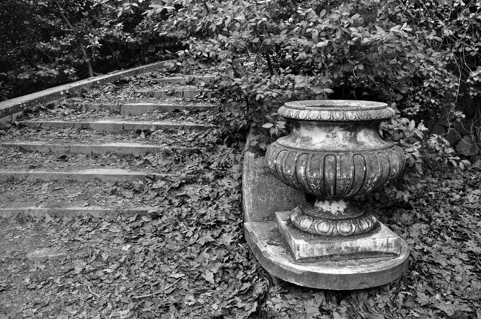 Vintage staircase covered with fallen leaves. Black and white.