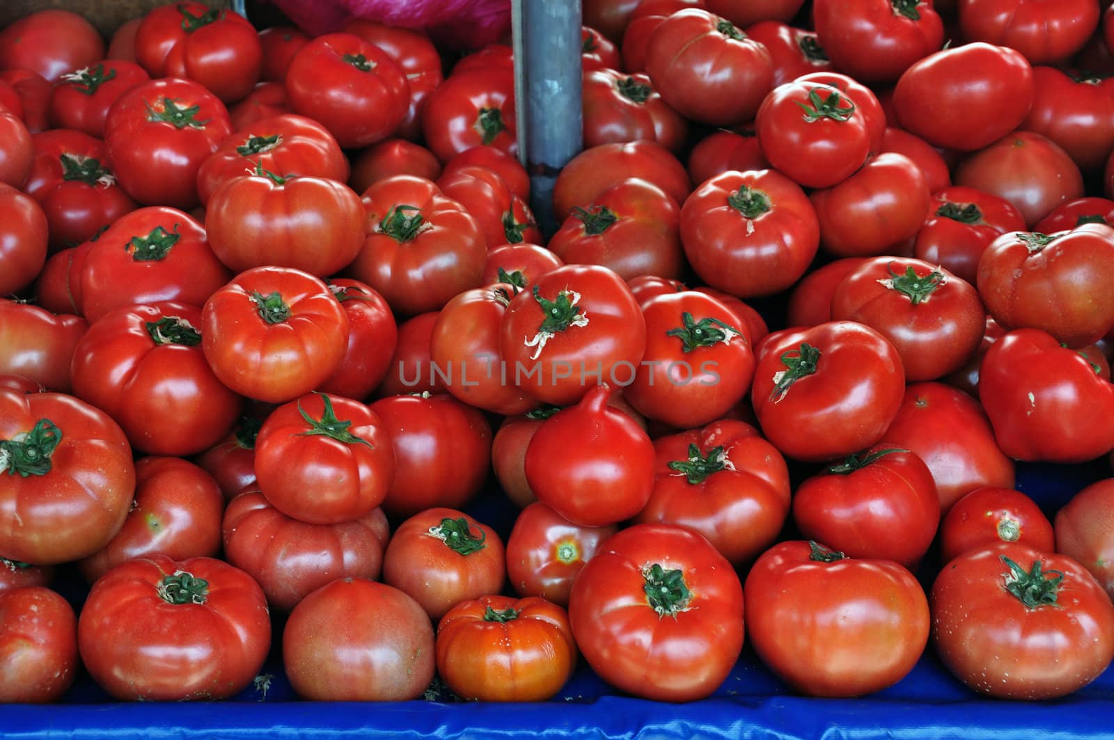 Fresh tomatoes for sale at grocery store. Vegetables background.