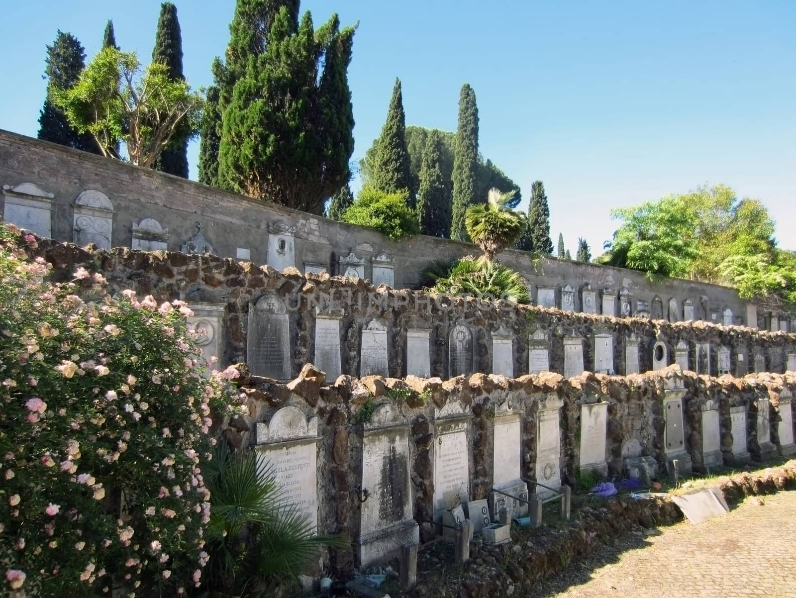 Cemetery in Rome, Italy
