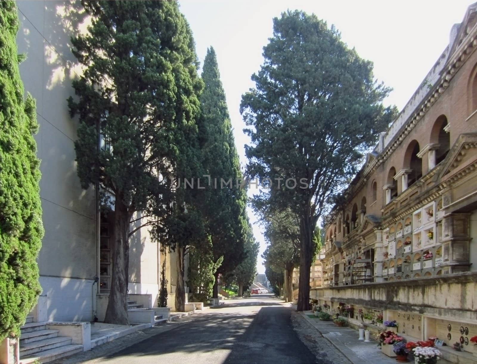 Cemetery, Rome, Italy                            