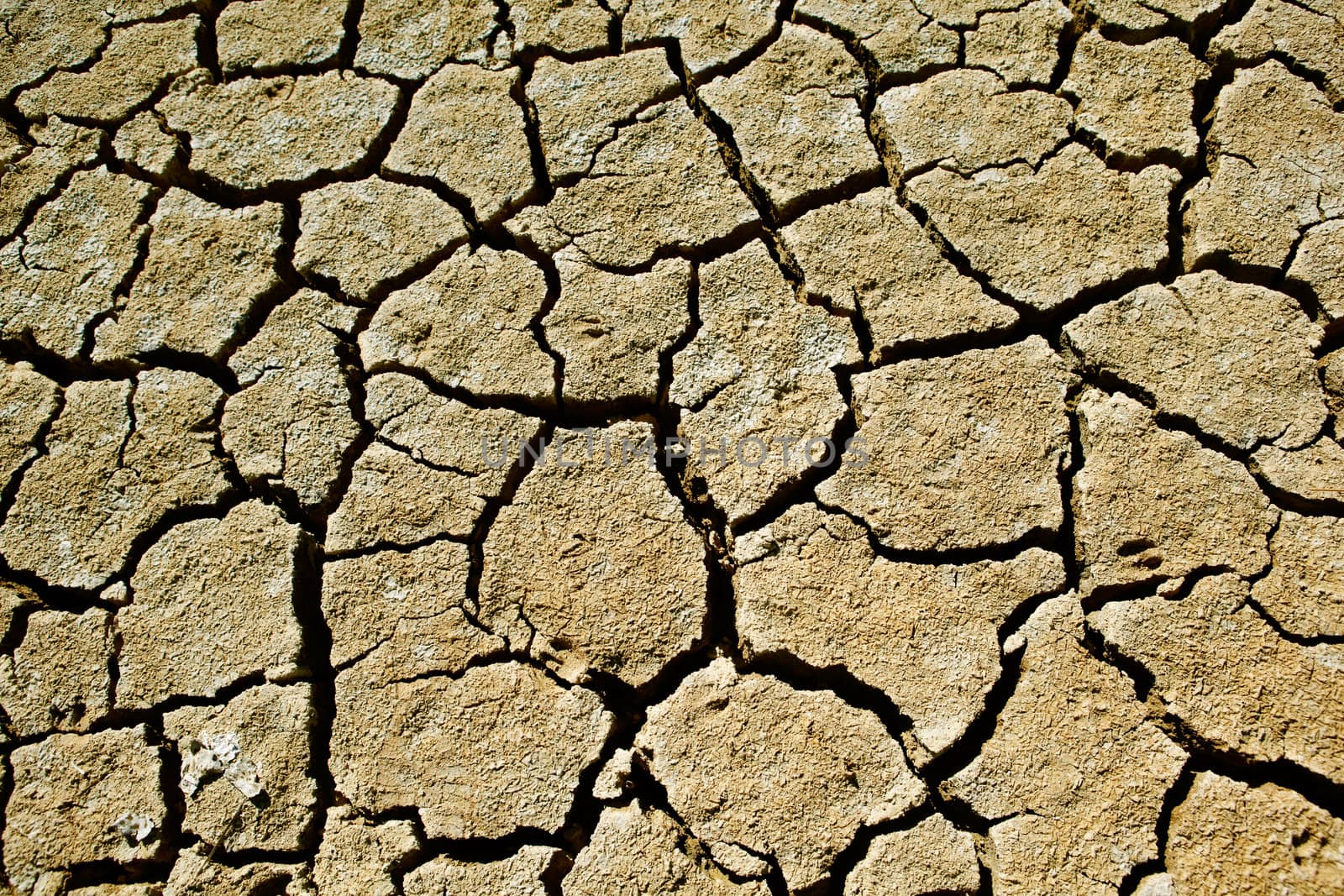 Close up image of cracked soil of a lake