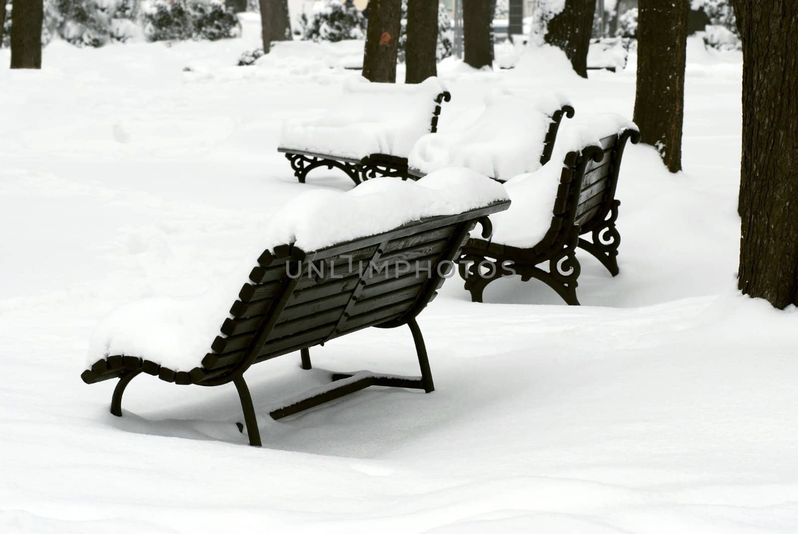 several benches at snow in winter park