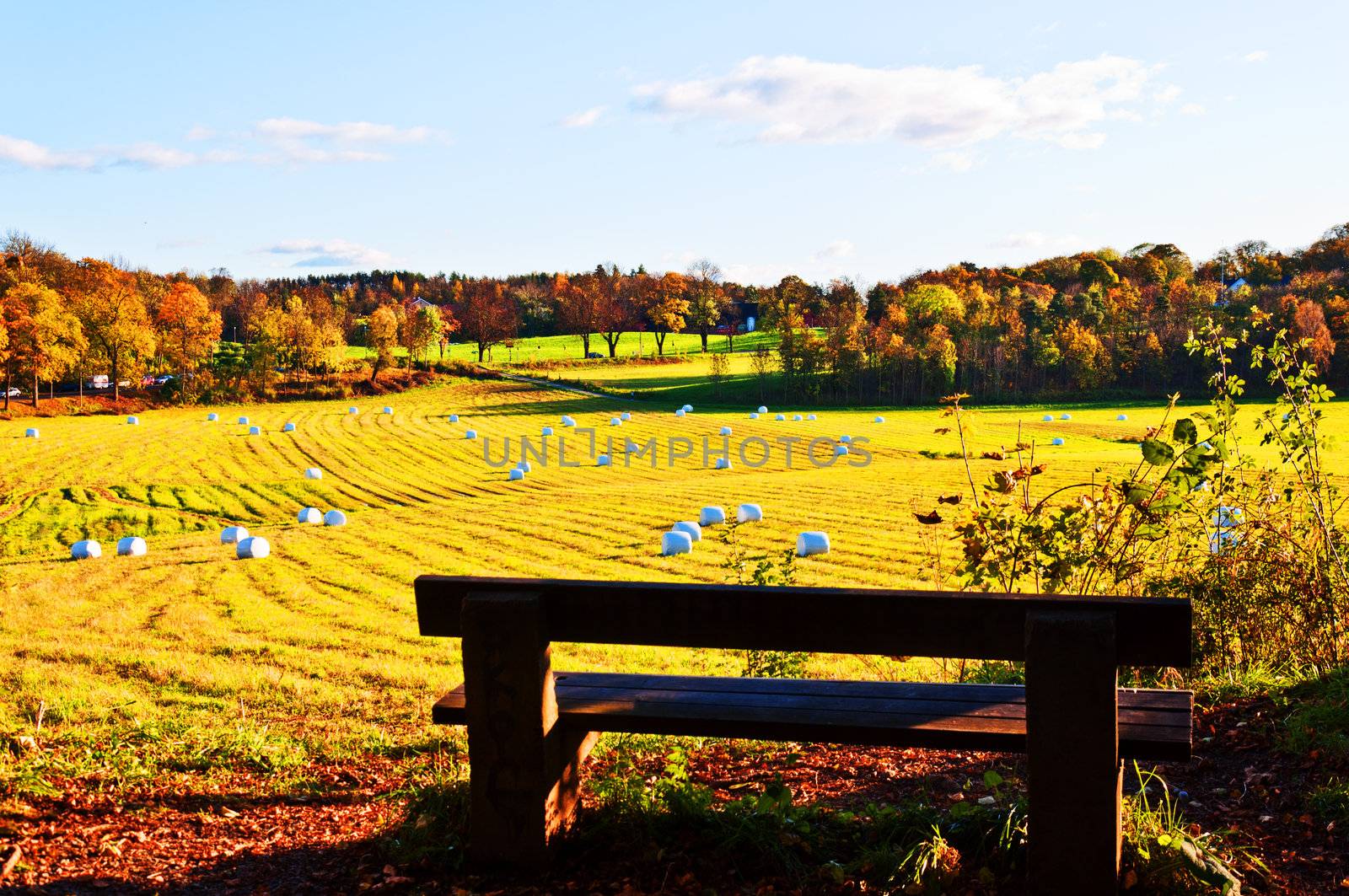  Wheat field after a harvest at the fall by Nanisimova