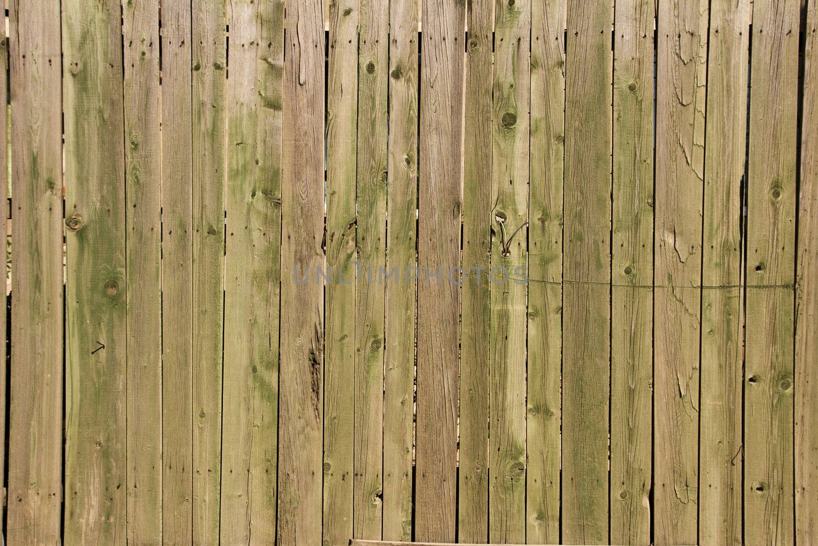 Wooden background