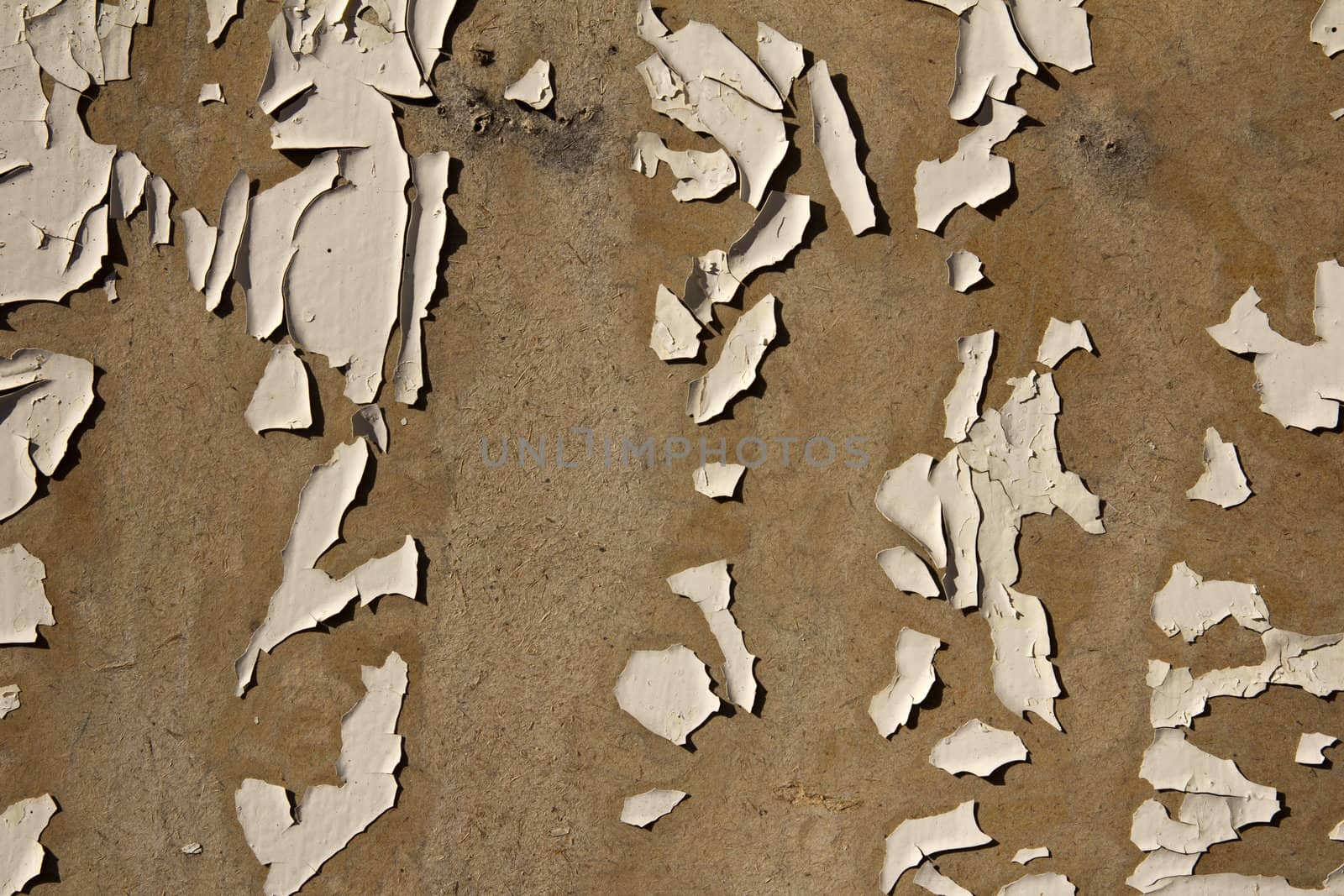 Wooden board with an old white paint as a background by schankz