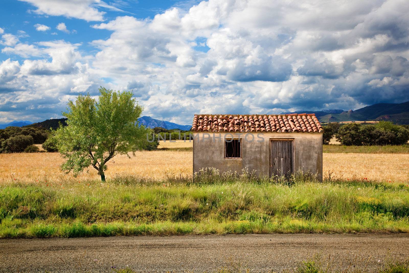 Landscape with old house and tree