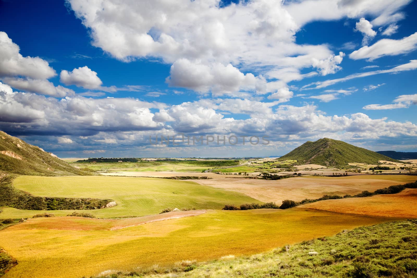 Landscape with fields and blue sky with clouds
