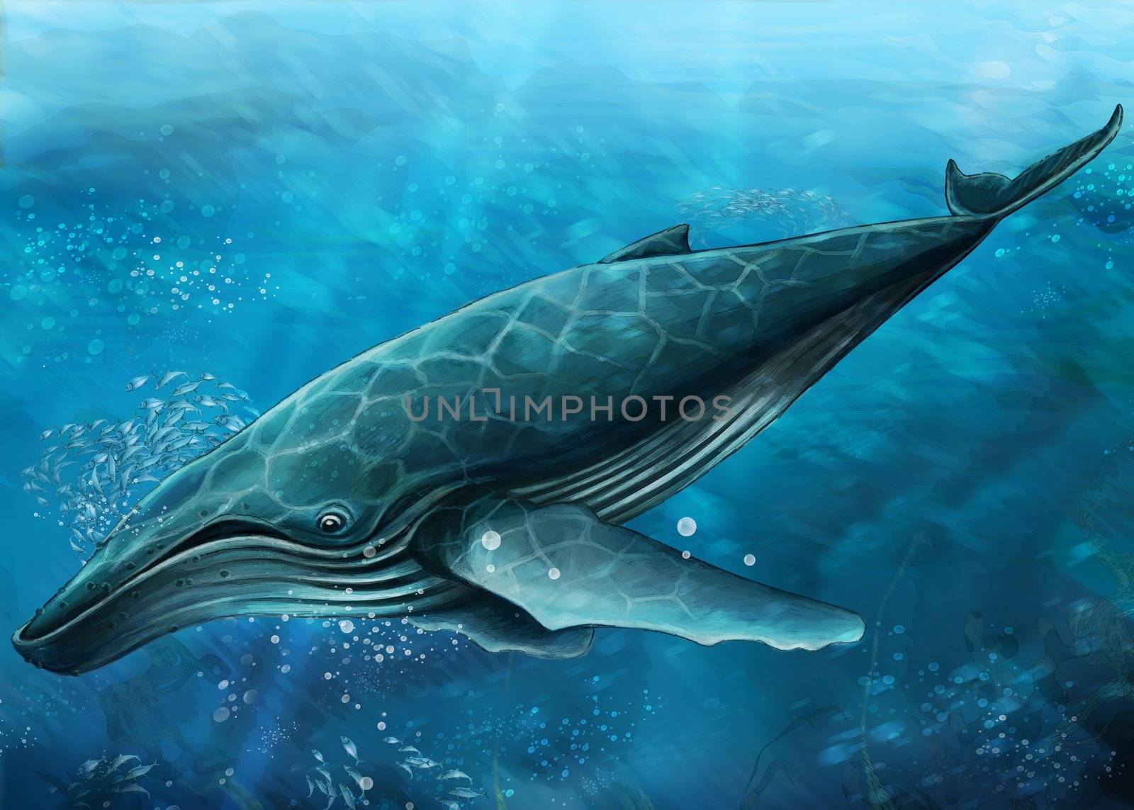 ongoing style of undersea life