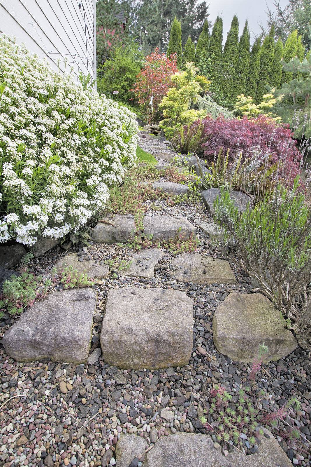 Garden Stone Steps by jpldesigns