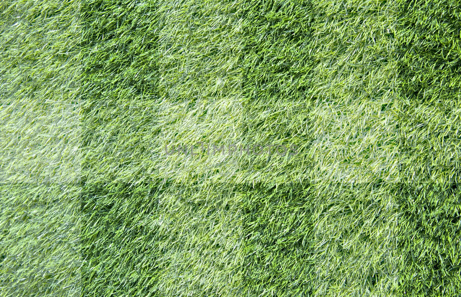 Grass for background ,texture and patten 