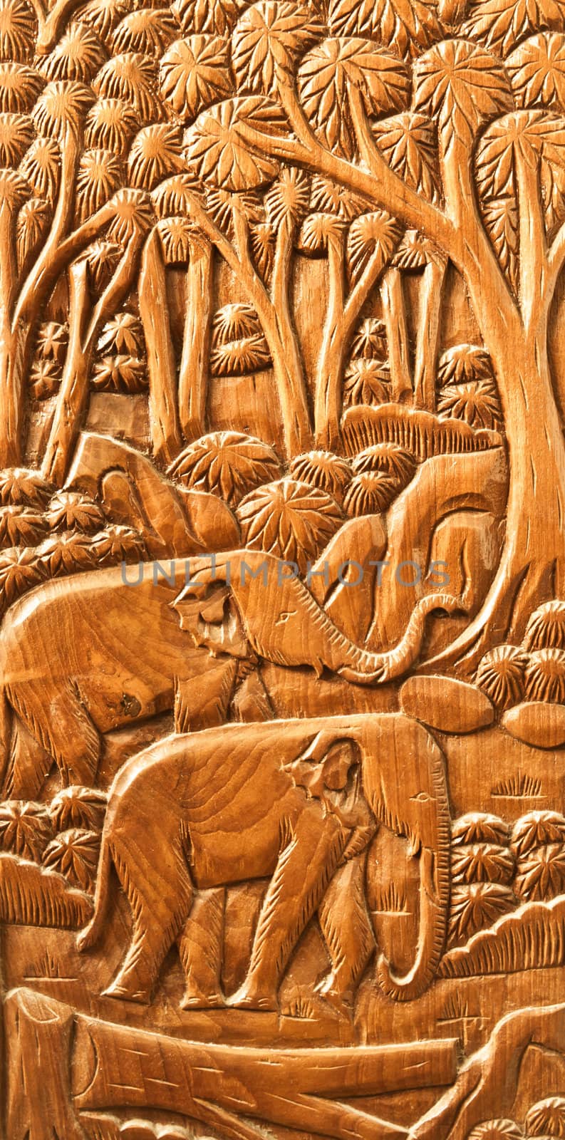 carved Thai Elephant on the wood wall