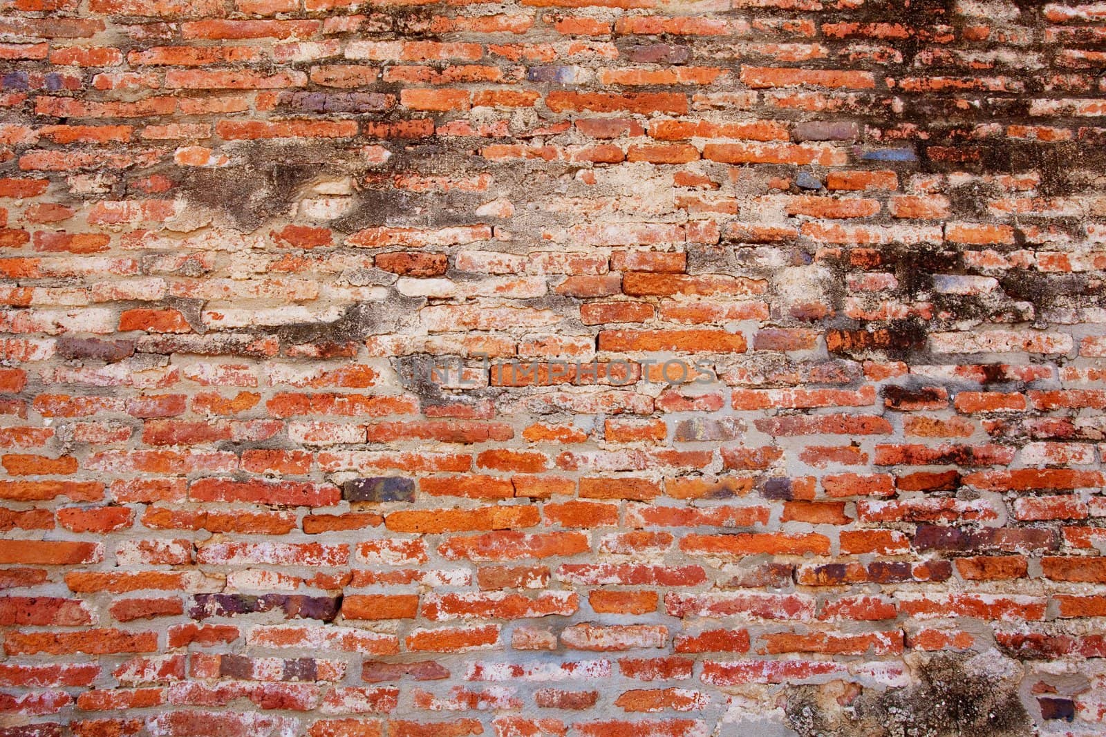 red brick wall as background