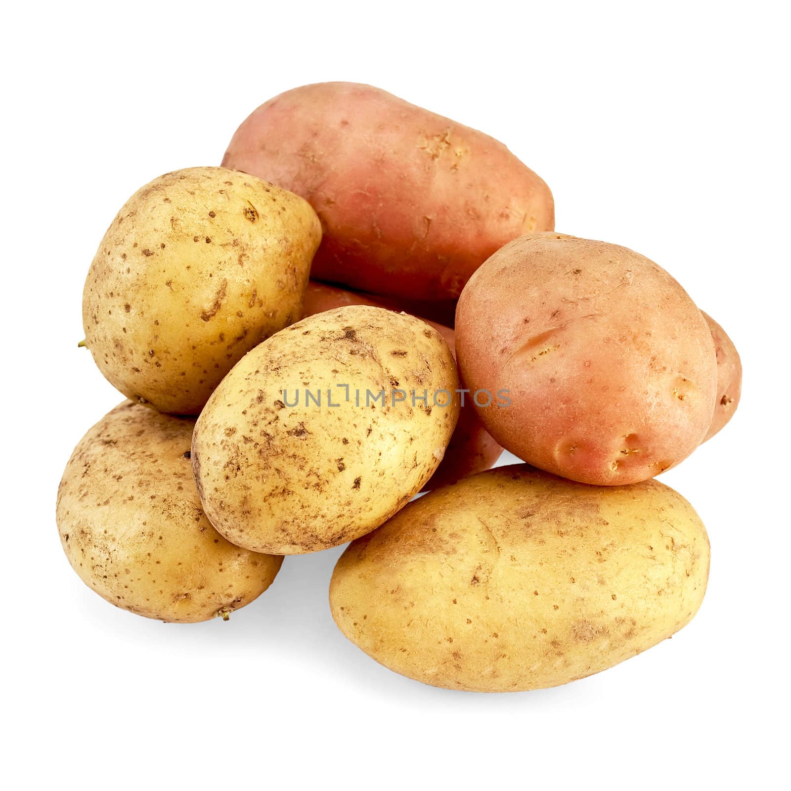 Lots of pink and yellow potatoes isolated on a white background