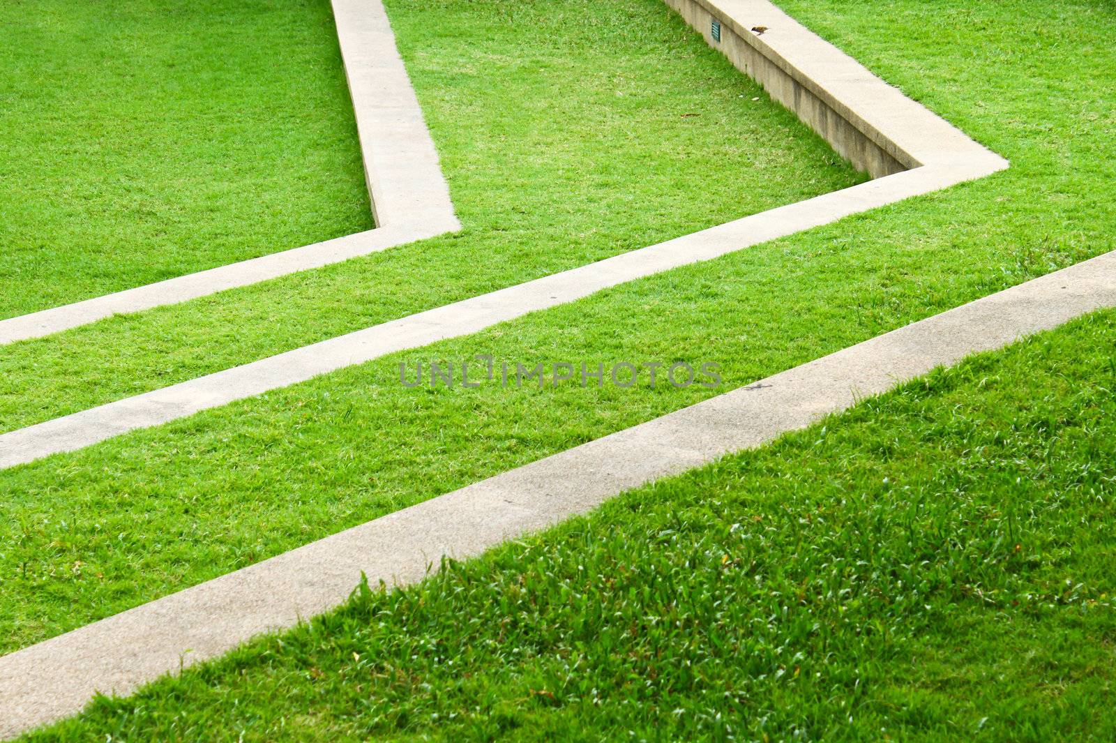 Step path on a garden surrounded with grass  by nuchylee