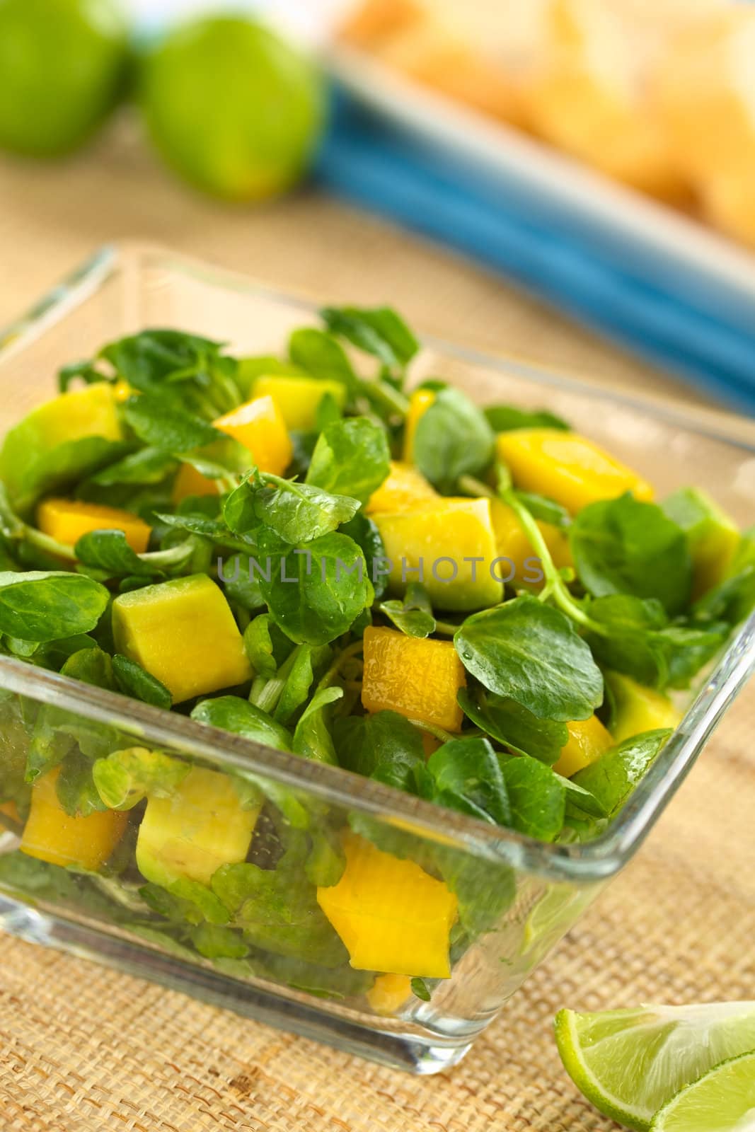 Fresh watercress, mango and avocado salad in glass bowl with limes and bread (Selective Focus, Focus on the mango and avocado pieces in the front)