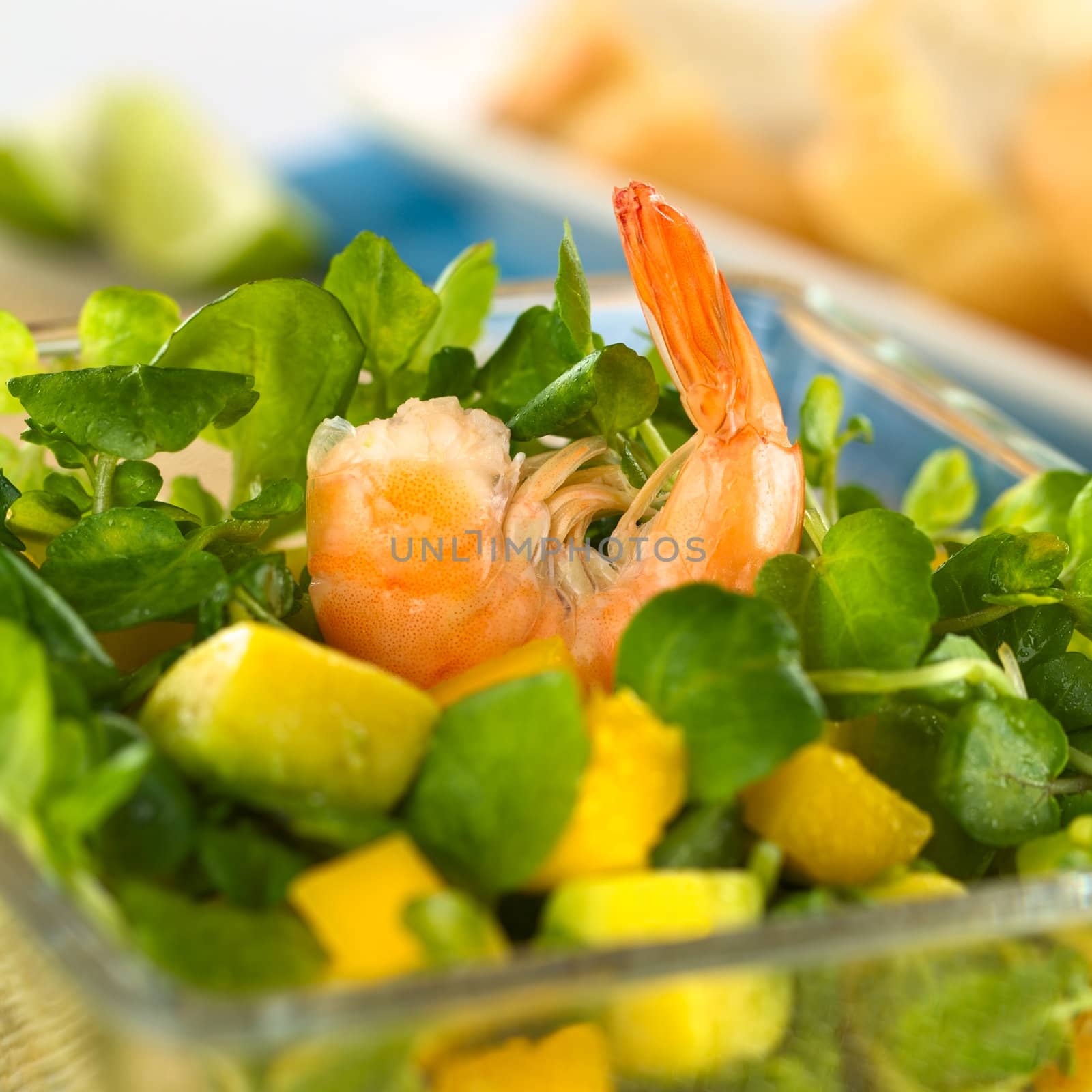 Shrimp on fresh watercress, mango and avocado salad in glass bowl with baguette in the back (Selective Focus, Focus on the shrimp)