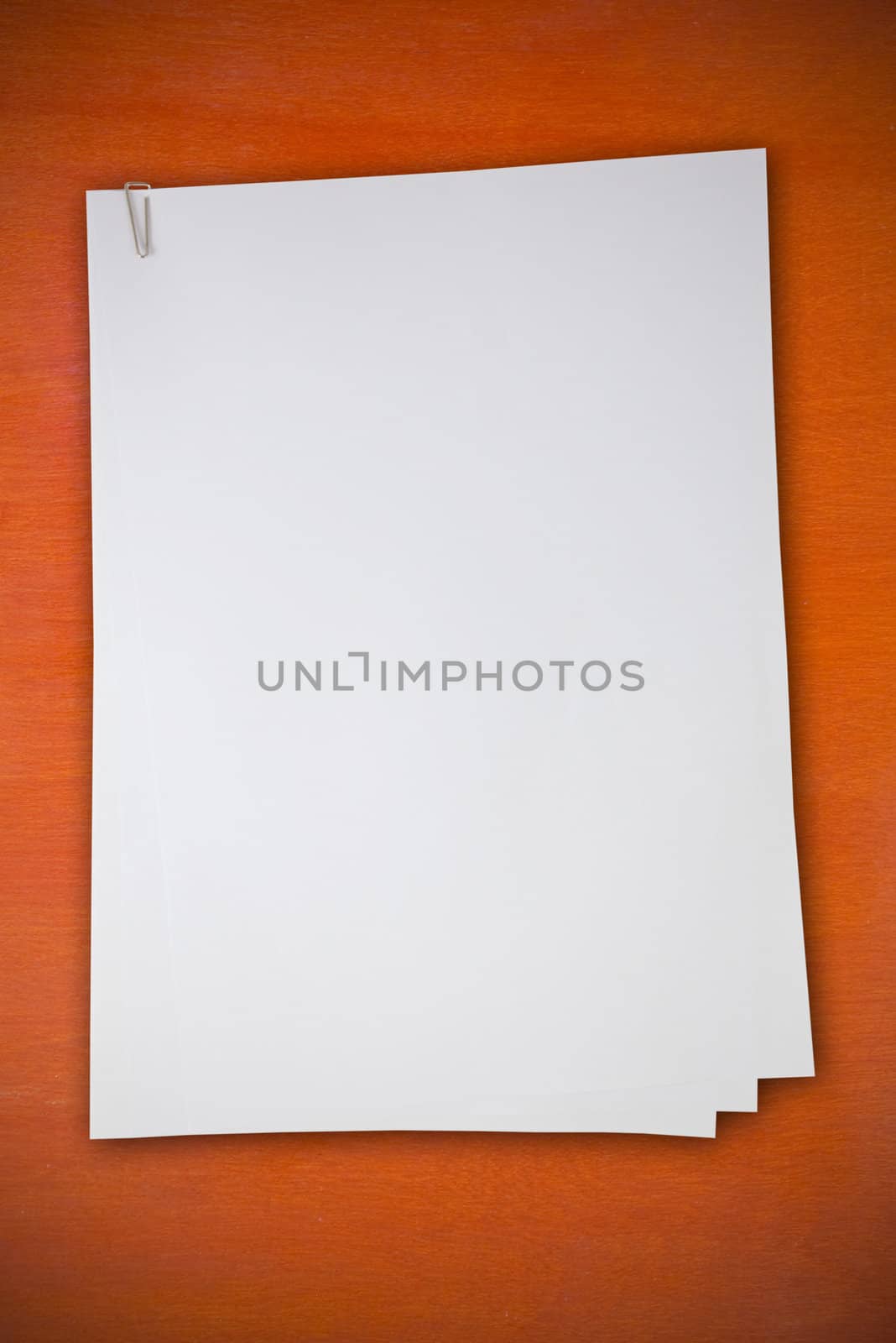 Blank white paper on wood wall as background