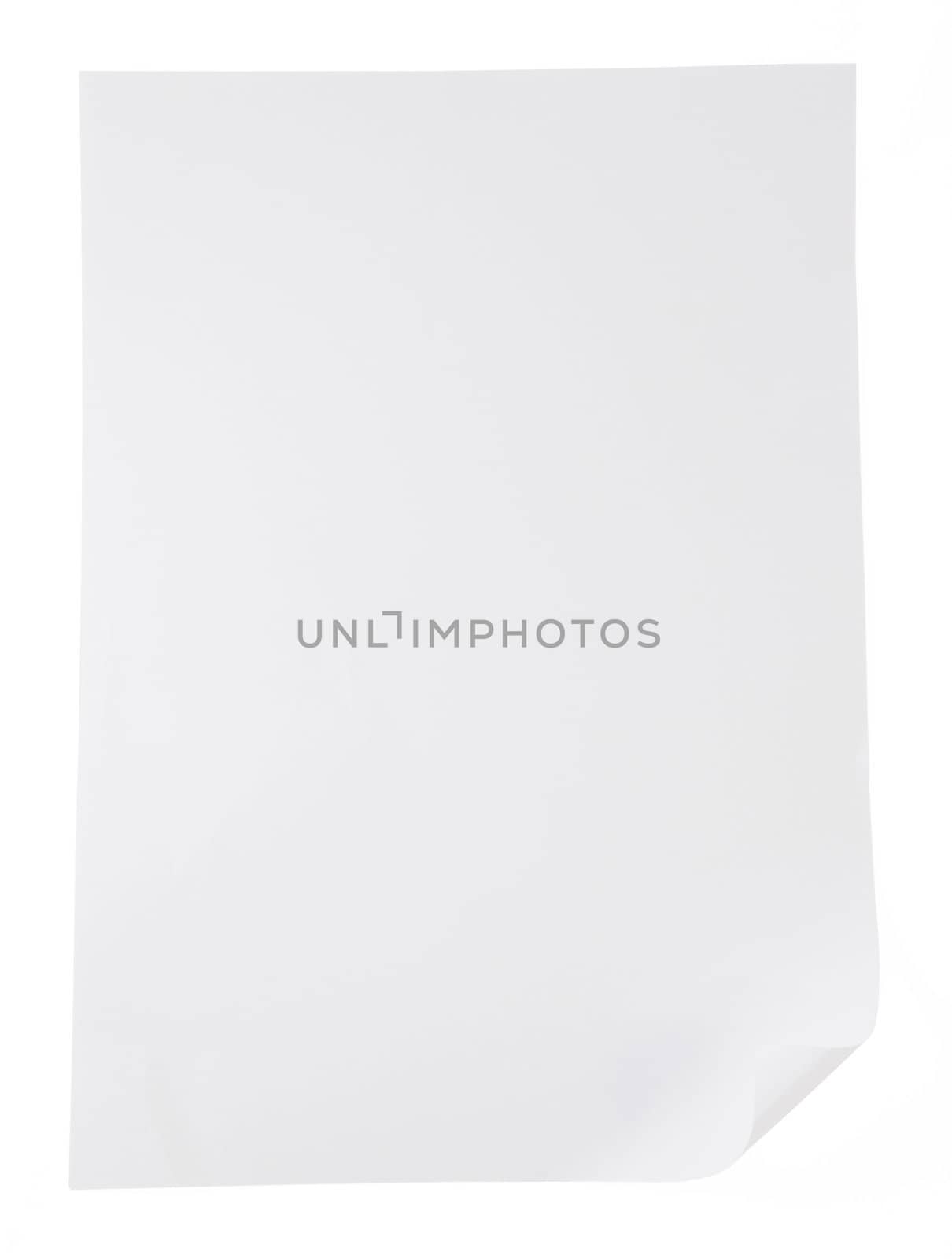 blank paper and crumpled paper on white background