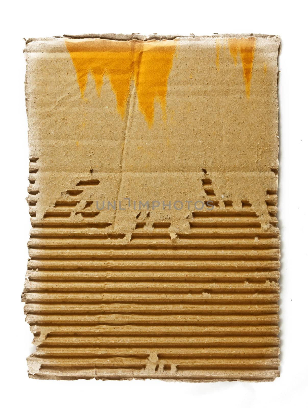 piece of corrugated cardboard