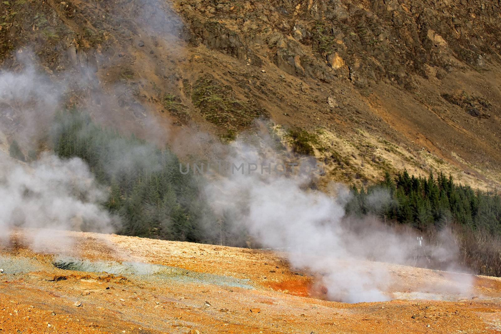 Smoke rising from hot springs in Iceland