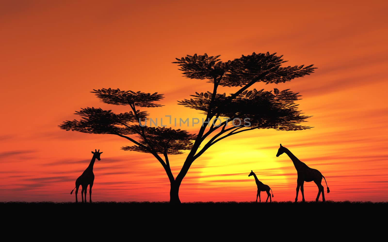 African Sunset by Ragnar