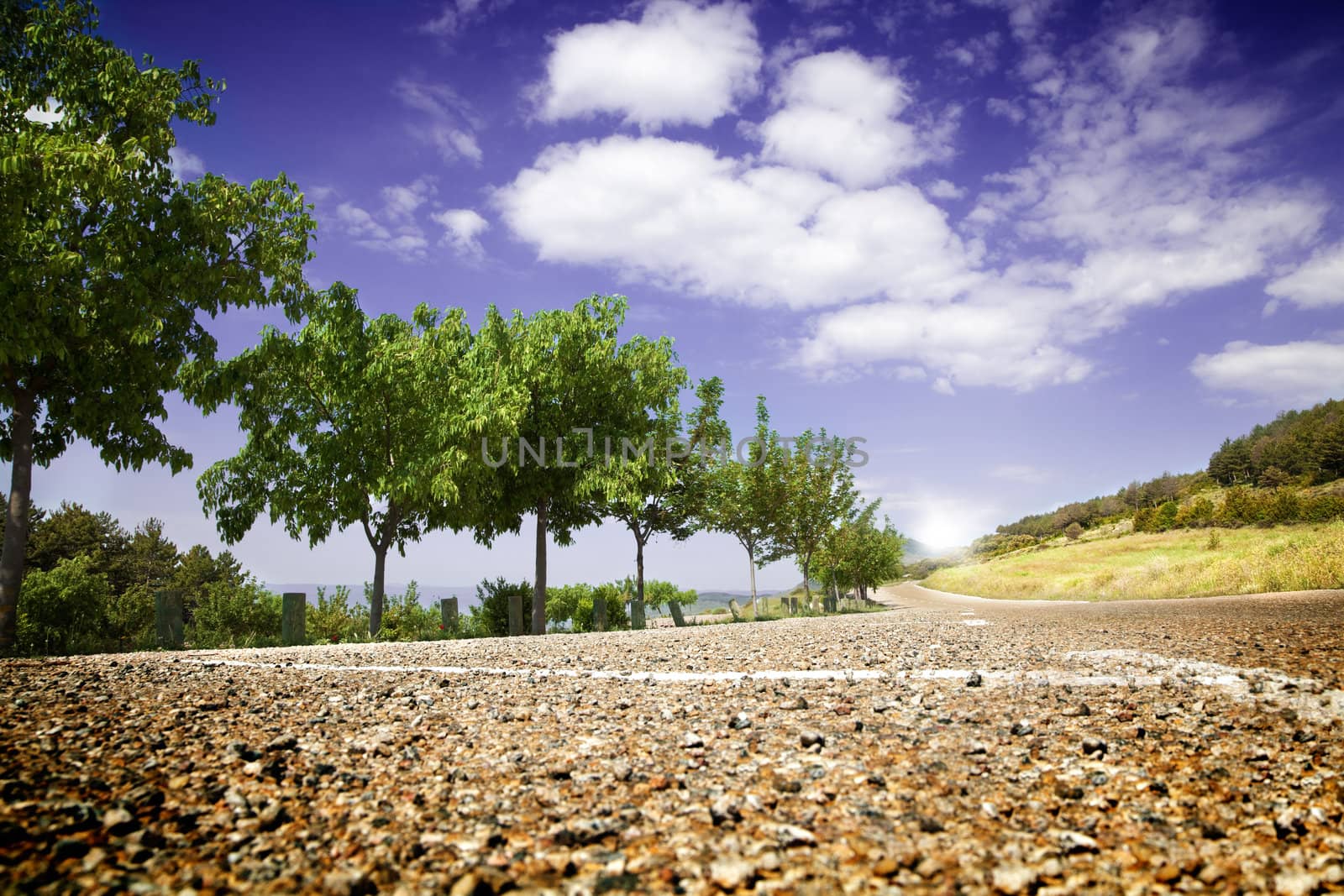 Landscape with road and trees by carloscastilla