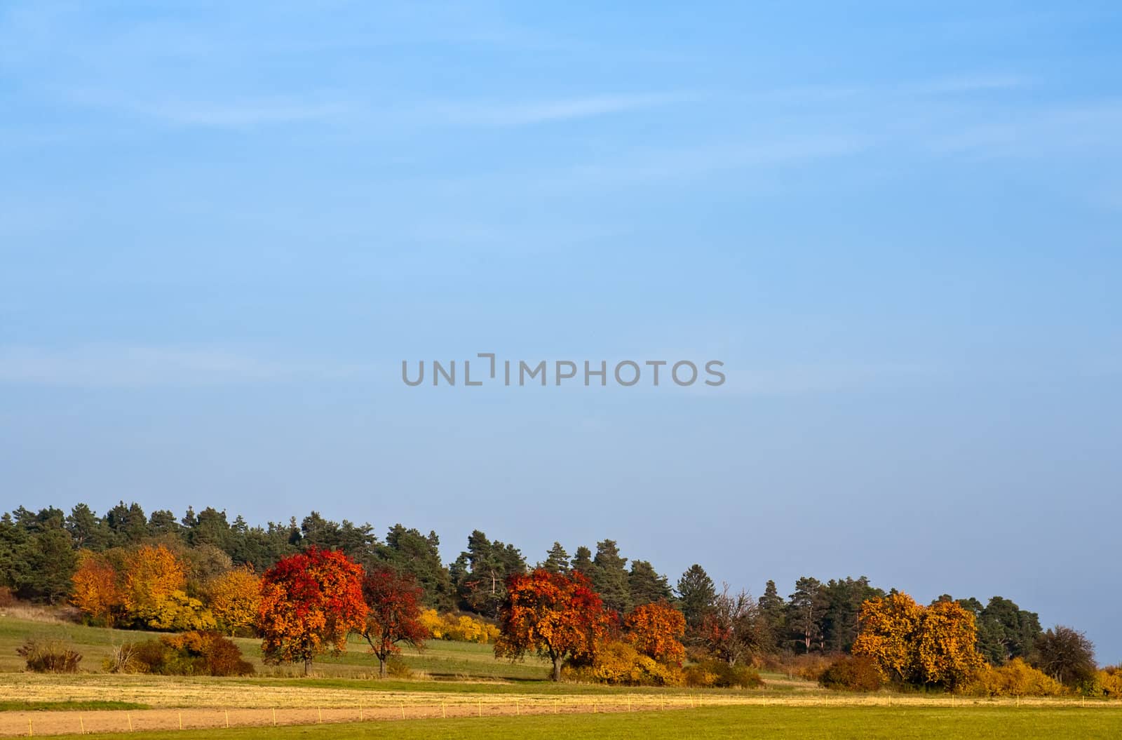 Autumn Scenery by Ragnar