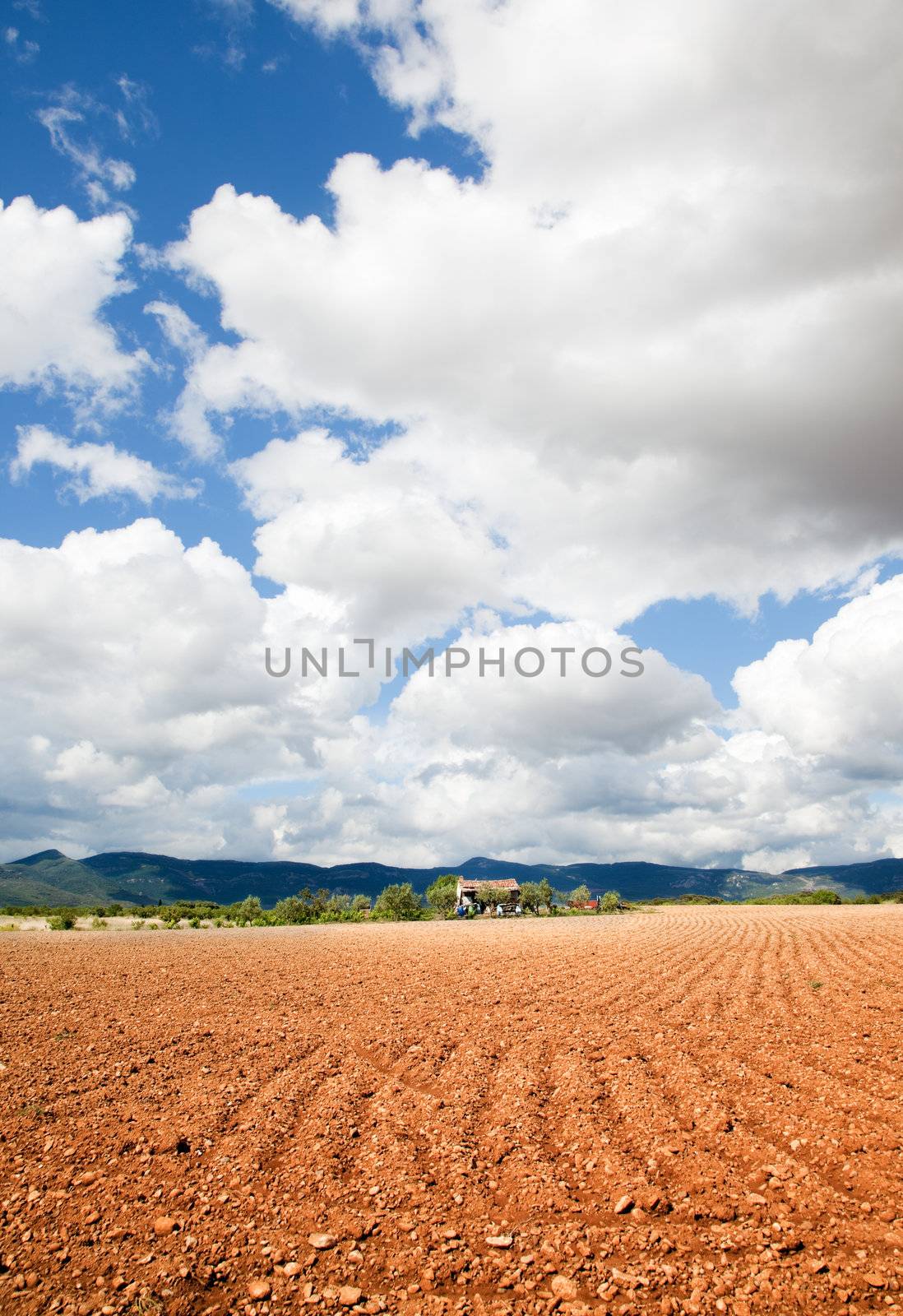 Rural landscape by carloscastilla