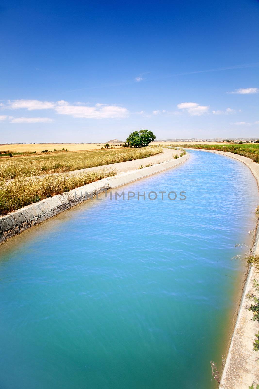 Landscape with irrigation water channel and tree