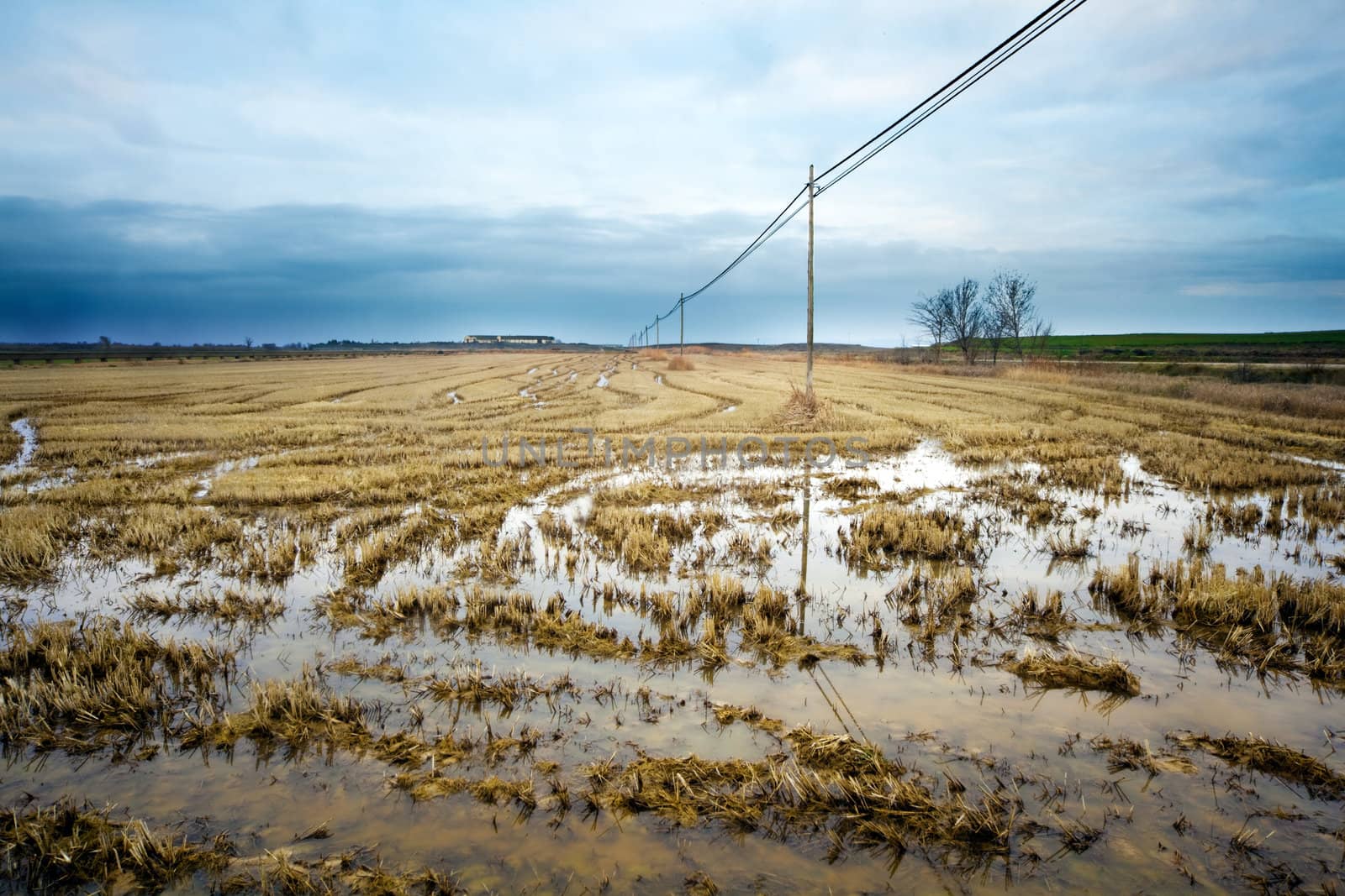 Rural landscape with harvest field flooded