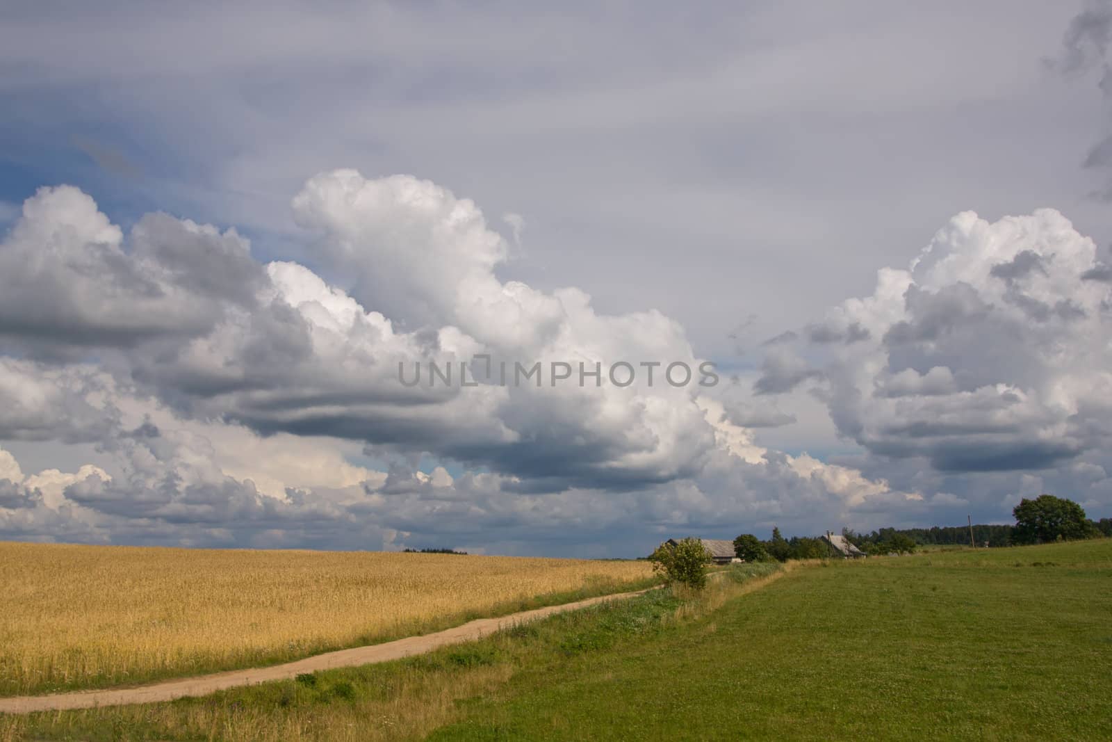 summer land sky horizon