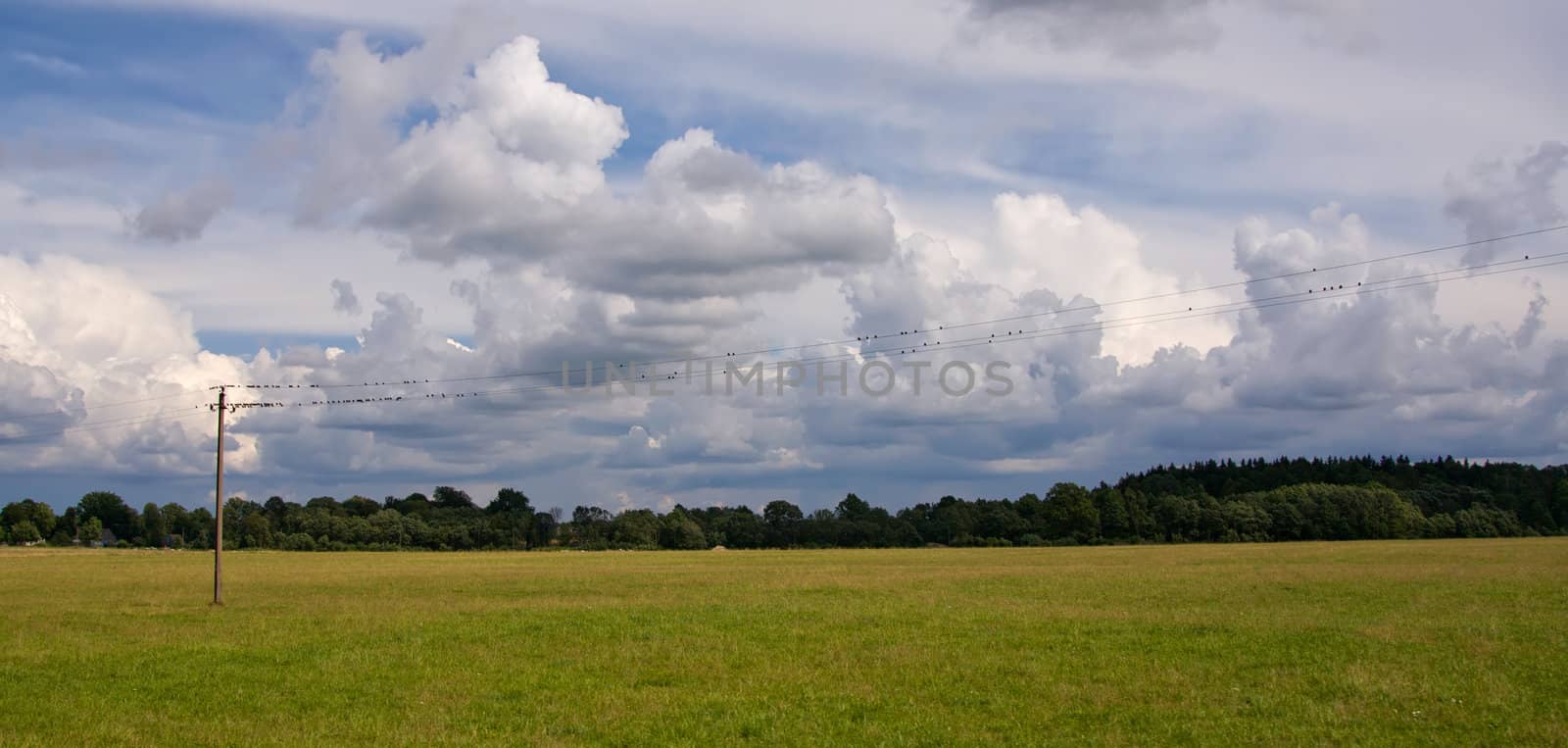 summer land sky horizon