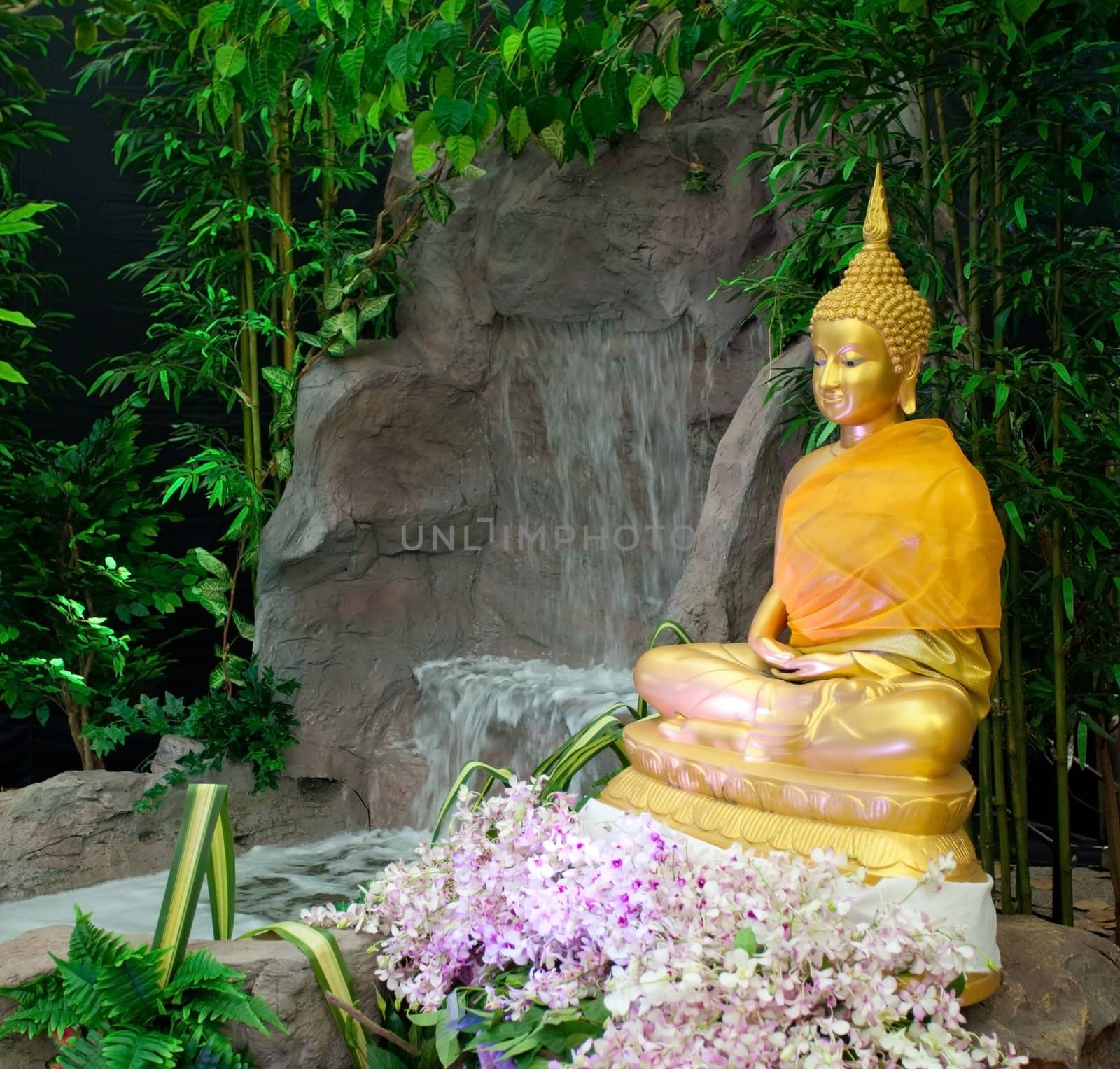 Image buddha in the forest