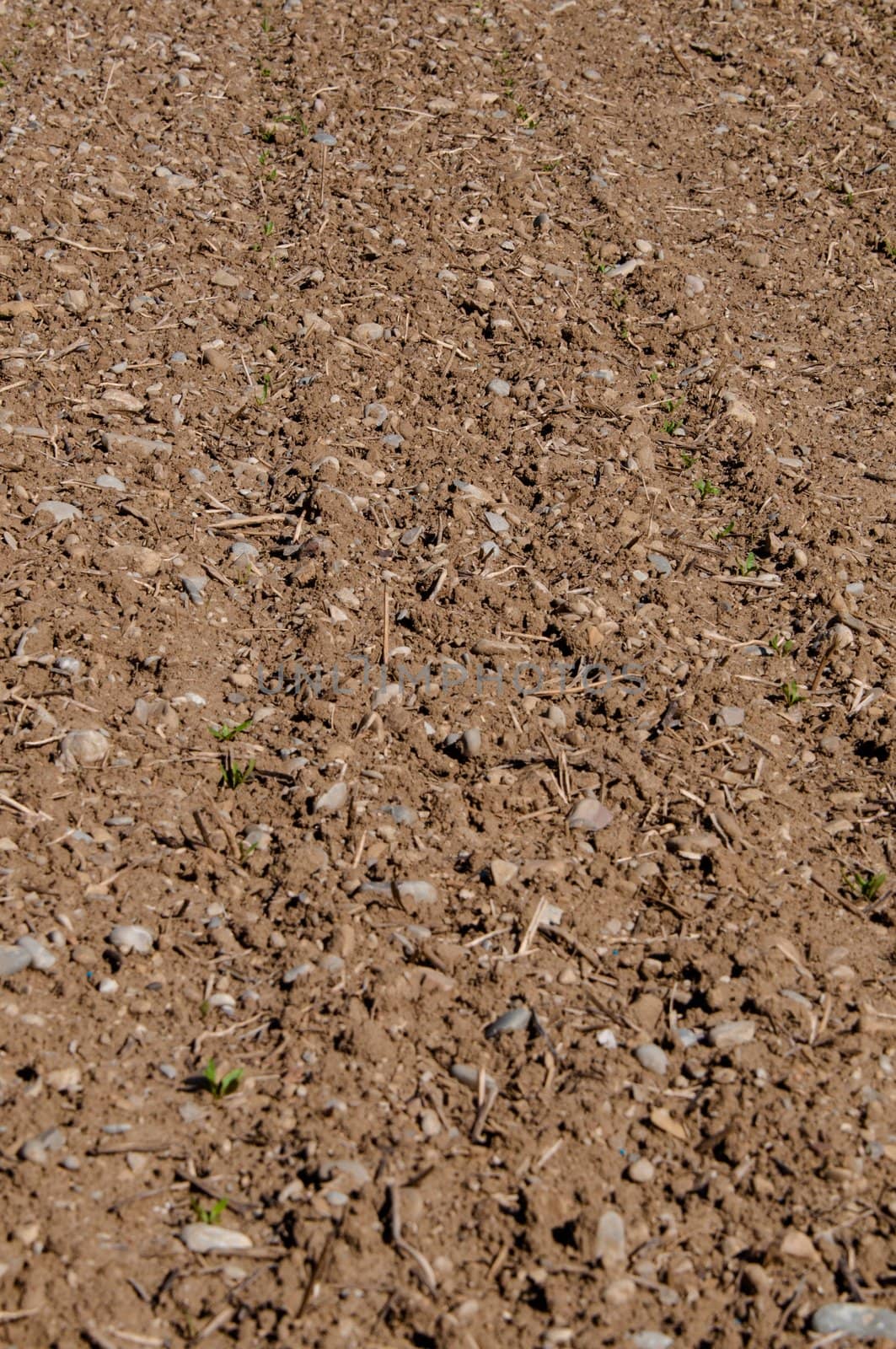 Closeup on ploughed field in early spring waiting for crops to grow