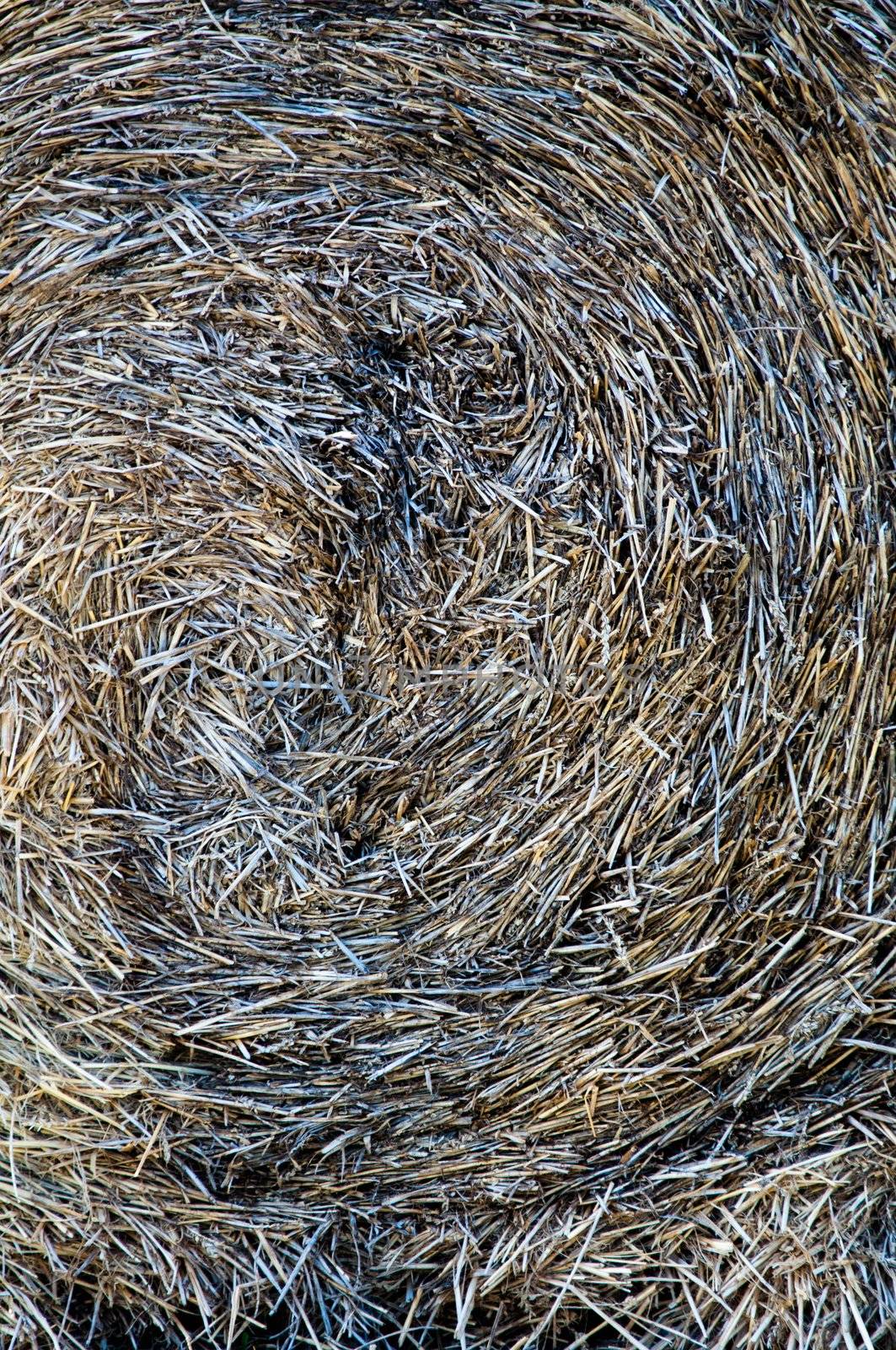 Close-up of a pile or stack of hay