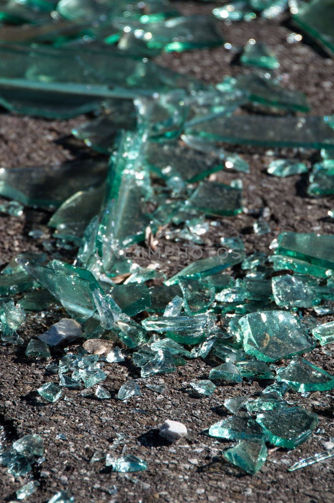 Soil covered with pieces of broken glass