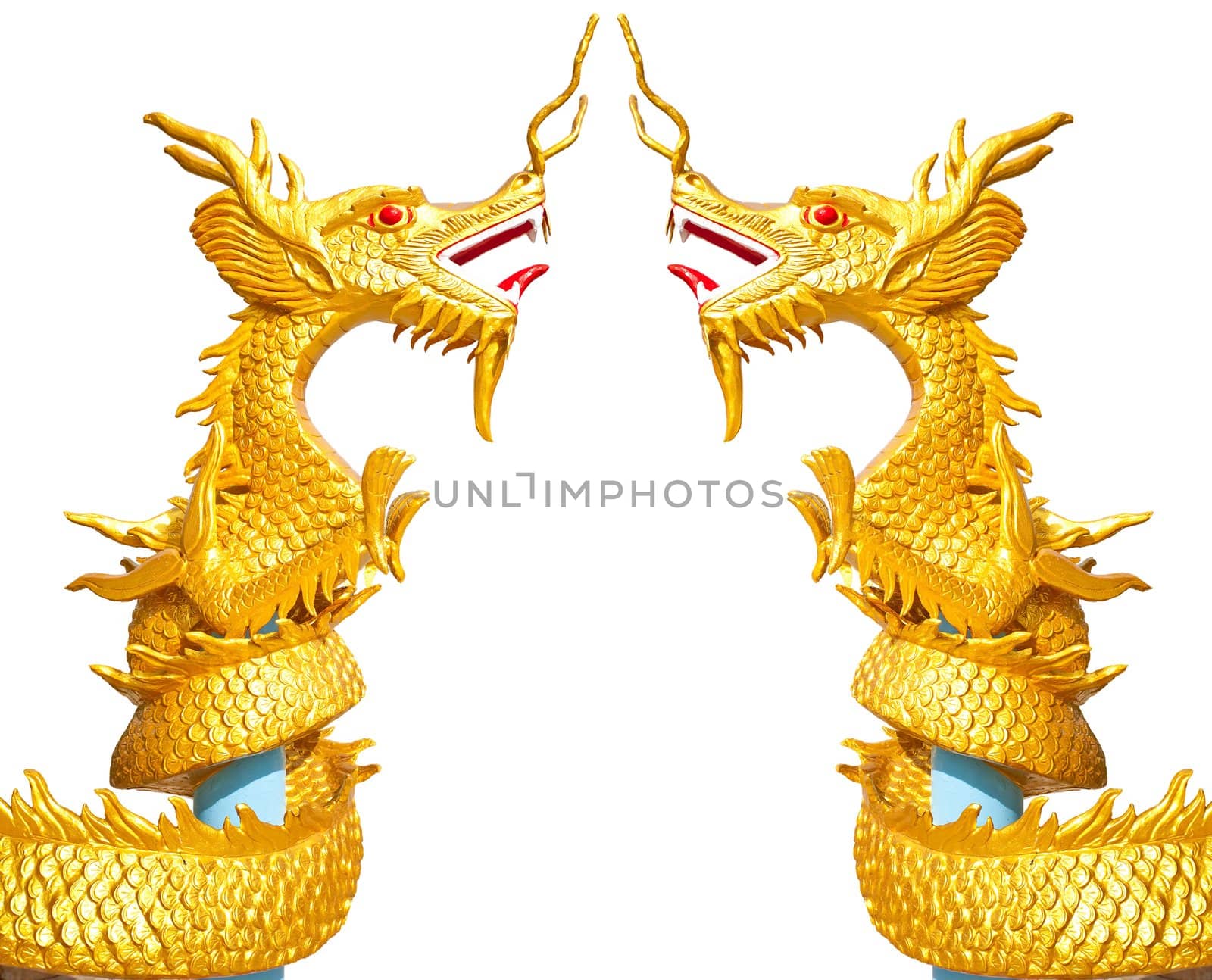 Two golden dragon on white background