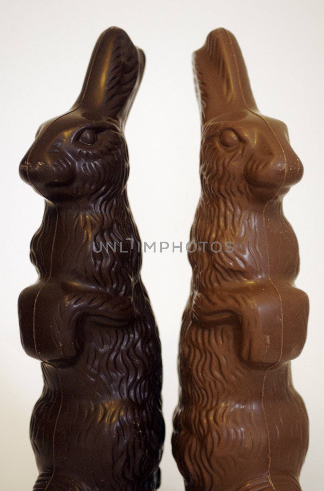 Chocolate Easter Bunnies by PrincessToula