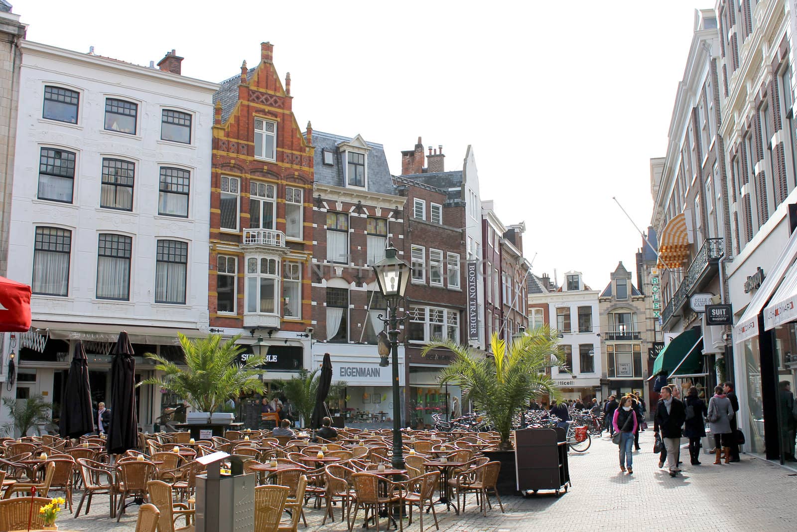 Hague Street. Spring. Den Haag. Netherlands