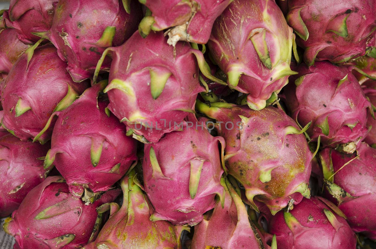 tropical exotic dragon fruit in market by jackmalipan