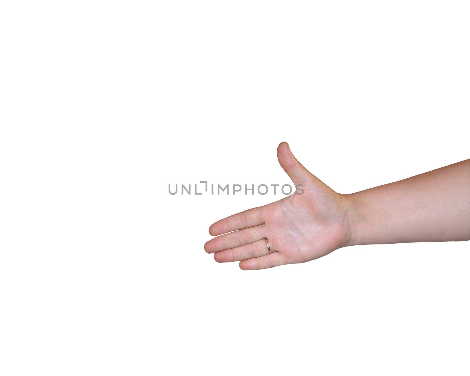 On white background, the photography of the hand.