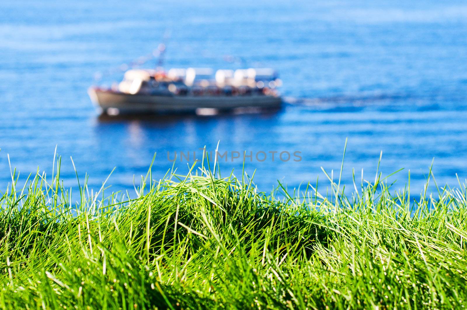 Grass with seas and boat on background Oslo, Norway