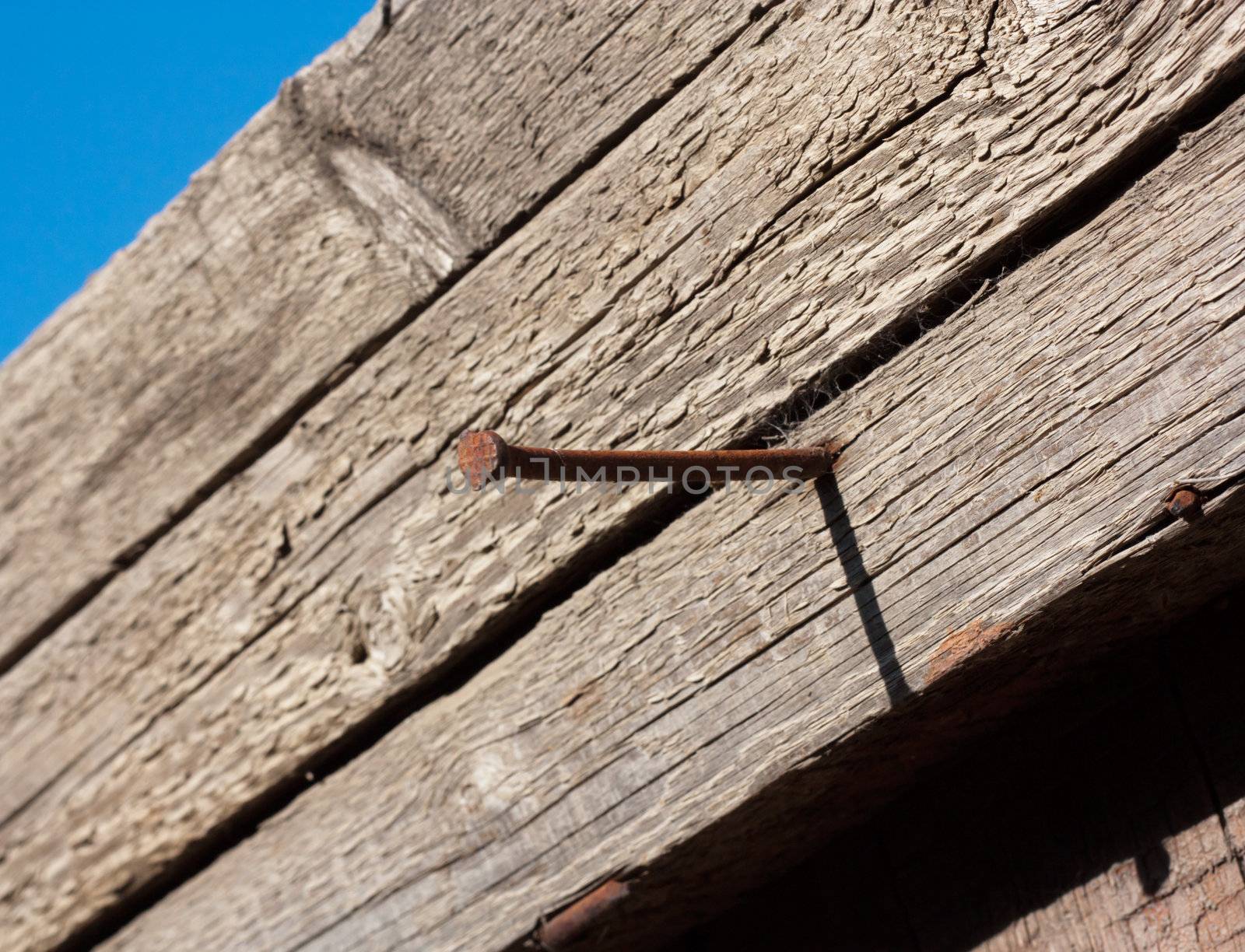 Rusty nail in obsolete wood plank